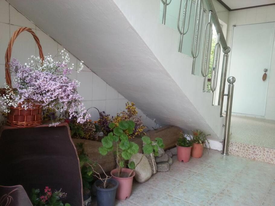 Blue Sky Milky Way Pension Yangyang Exterior foto