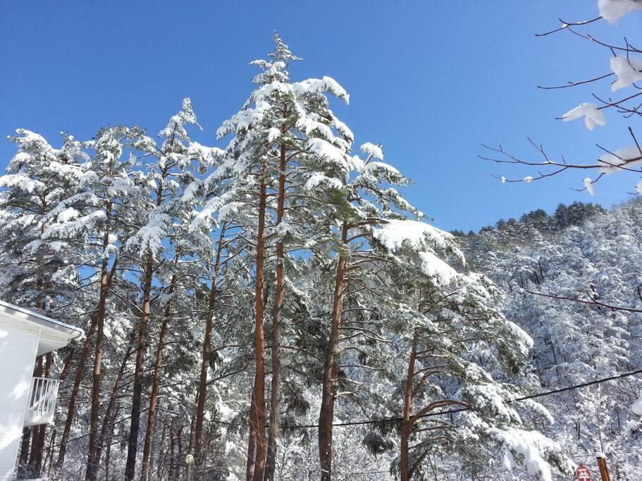 Blue Sky Milky Way Pension Yangyang Exterior foto