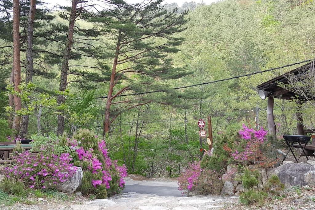 Blue Sky Milky Way Pension Yangyang Exterior foto